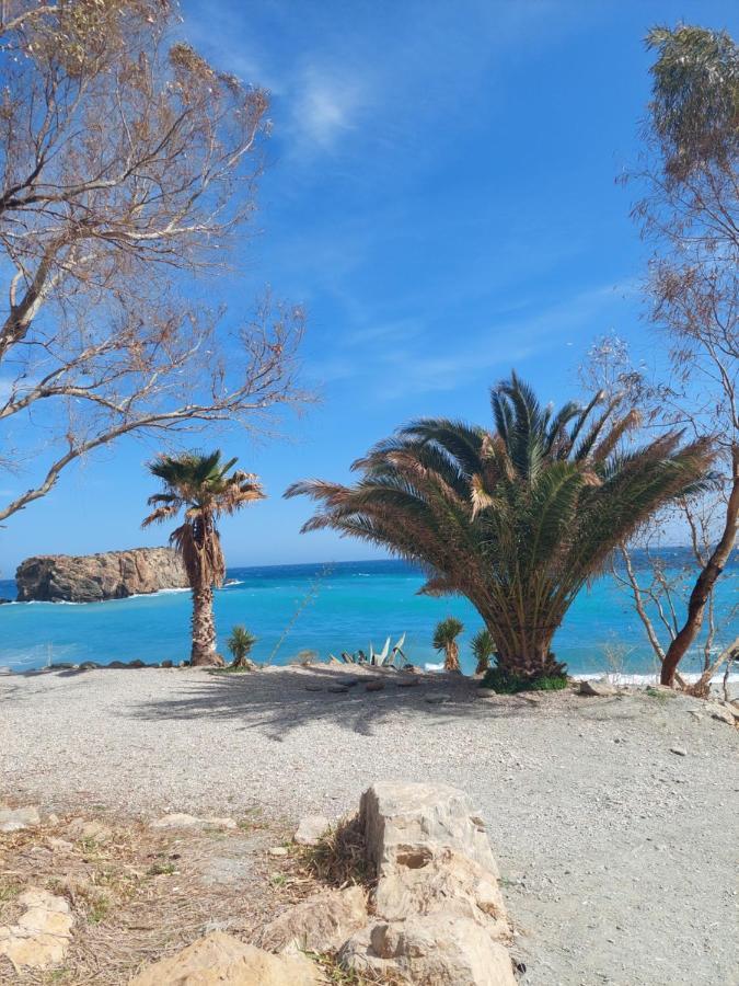Casa Palma Διαμέρισμα Albunol Εξωτερικό φωτογραφία